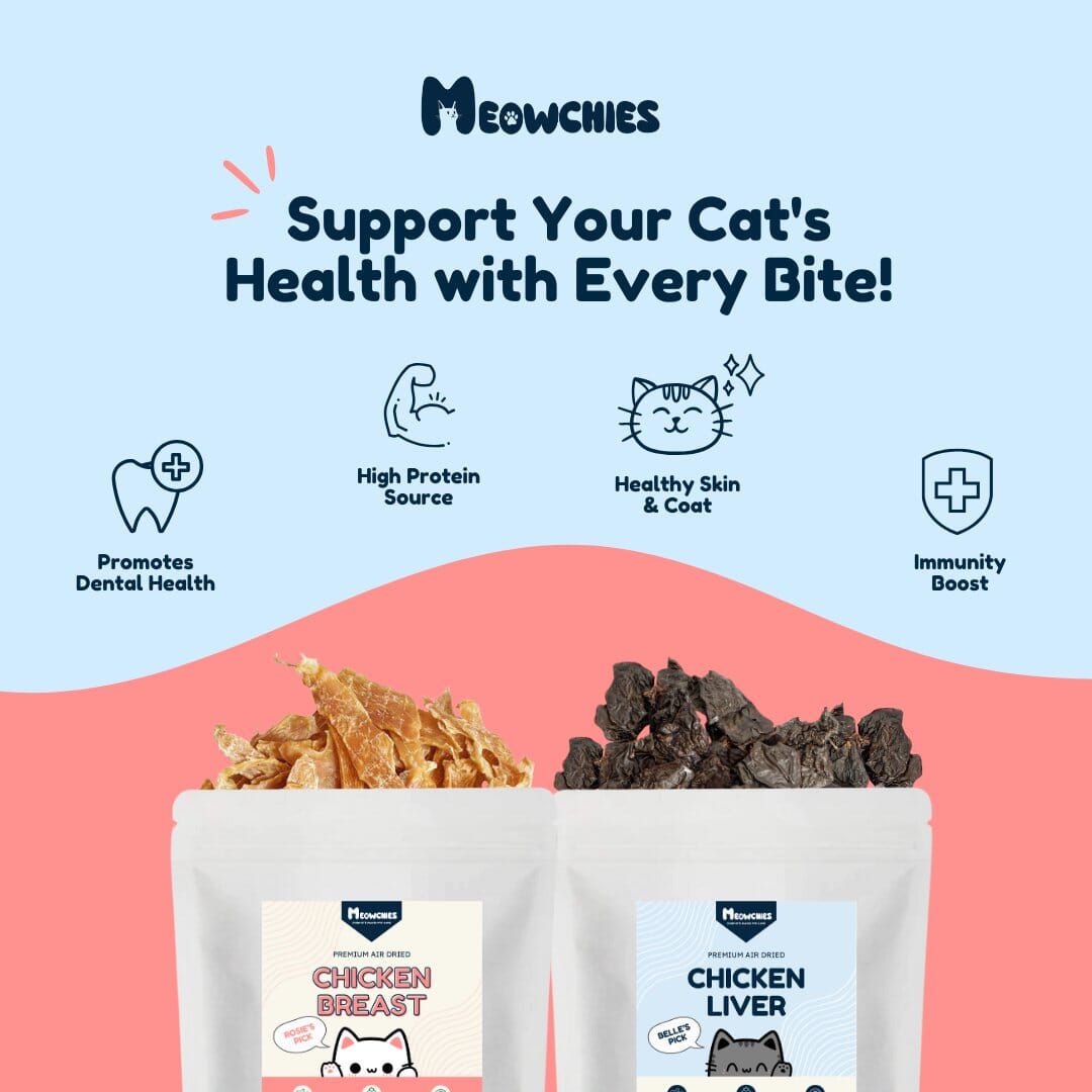 Plaque-Busting Bites Bundle meowchies 