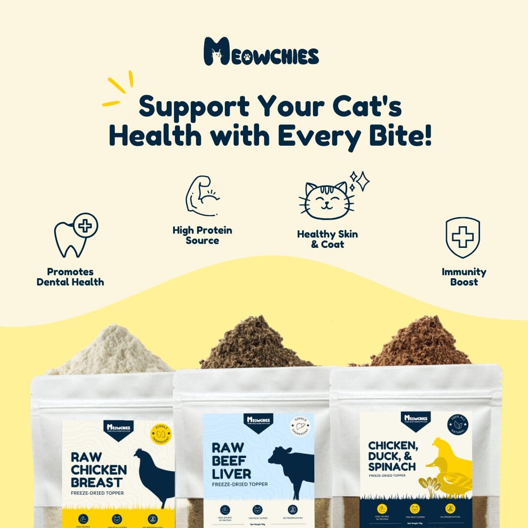 Protein-Packed Toppers Bundle meowchies 