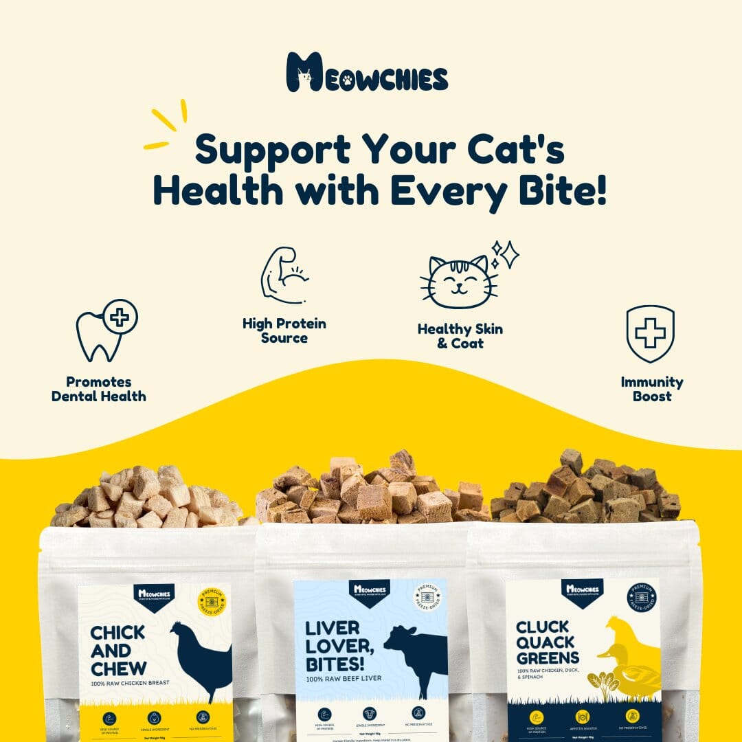 Protein Power Bundle meowchies 